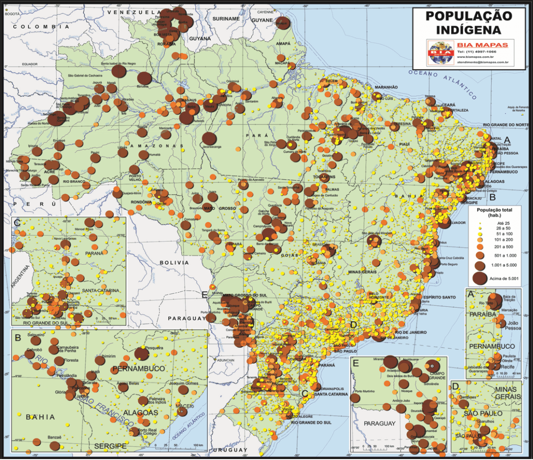 Brasil Popula O Ind Gena Bia Mapas