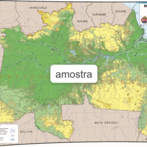 Mapa Região Norte Físico