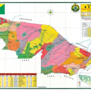 Rondônia Político • Bia Mapas