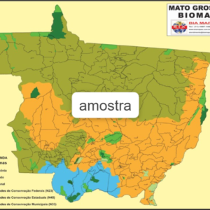 Mapa Mato Grosso Biomas
